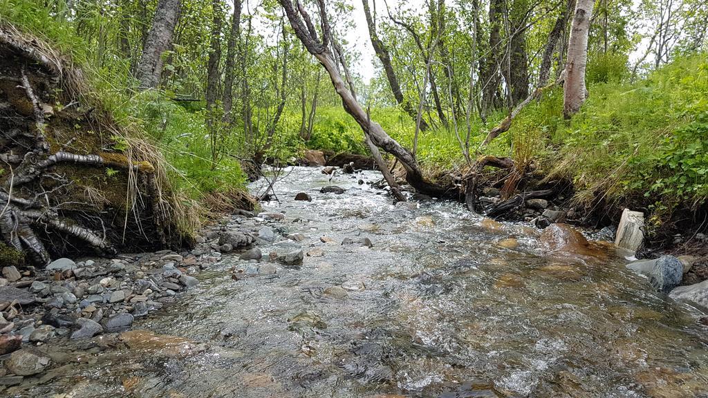 Дом отдыха Gamtunet Lyngen