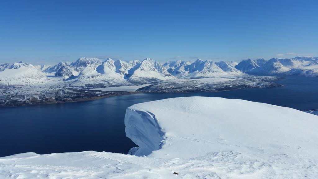 Gamtunet Lyngen